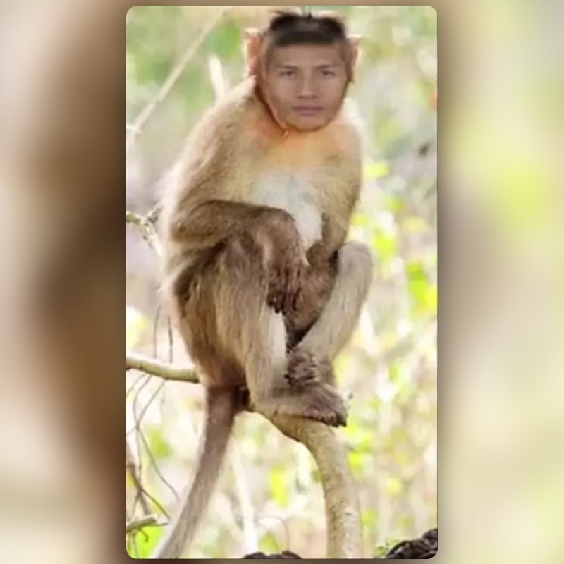Monkey Lens by MANISH MEHRA - Snapchat Lenses and Filters