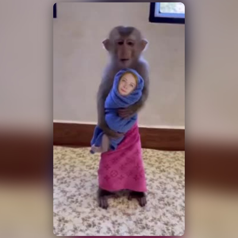 Monkey Baby Filter by Karam💫 | Snapchat Lenses