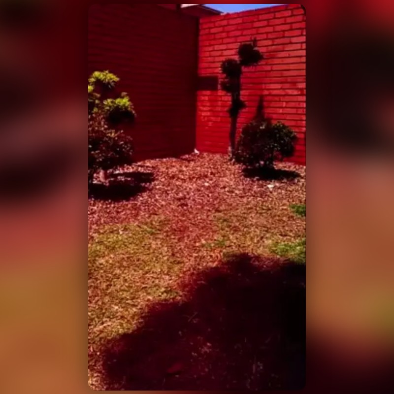 Red Light Lens by Aditi Sharma Snapchat Lenses and Filters