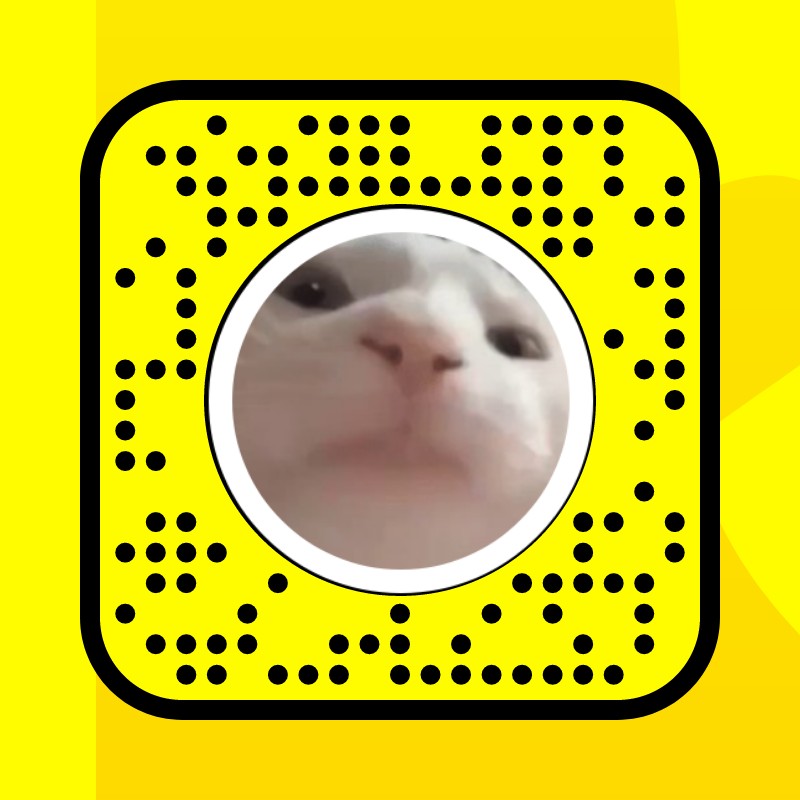 Cat vibing - bongo Lens by Prince 😼 - Snapchat Lenses and Filters