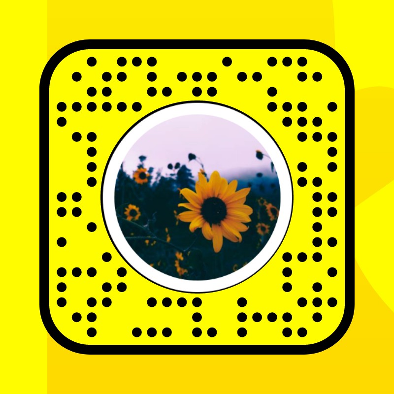 sunflower Lens by Yana Stessens 💗🌸 Snapchat Lenses and Filters