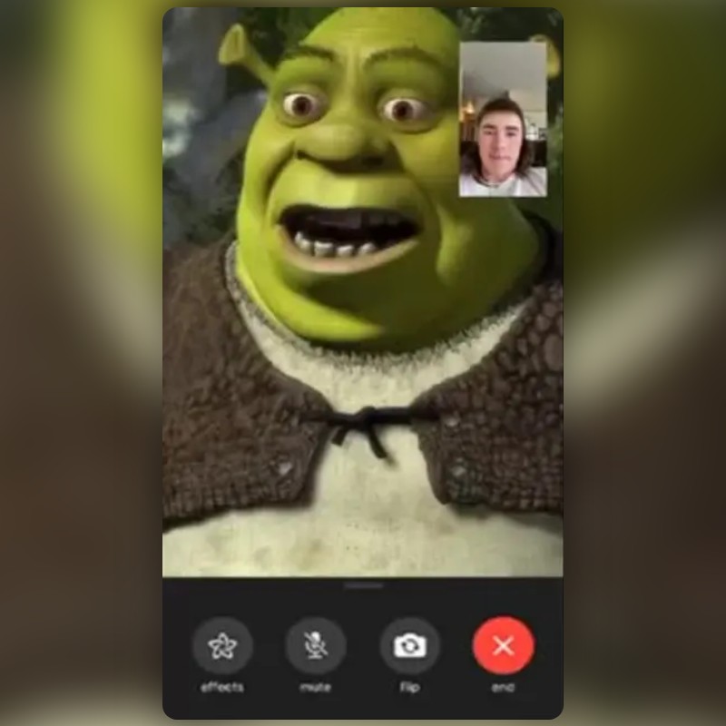 Facetime Shrek Lens by Asa Phelps - Snapchat Lenses and Filters