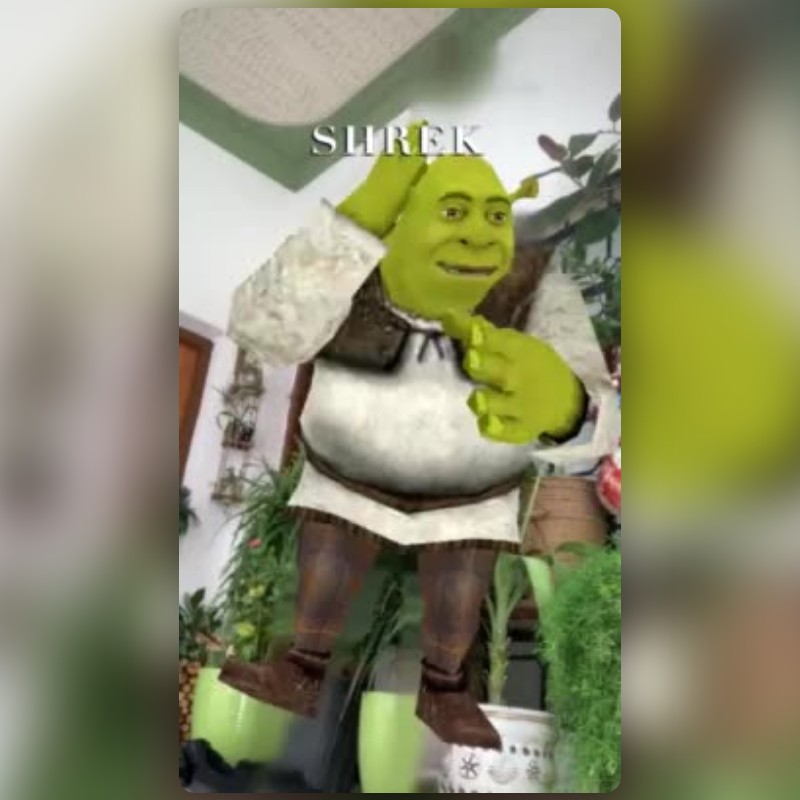 Shrek Lens by OMAR🖤 - Snapchat Lenses and Filters