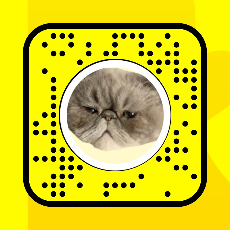 grumpy cat Lens by Gabie ꨄ - Snapchat Lenses and Filters