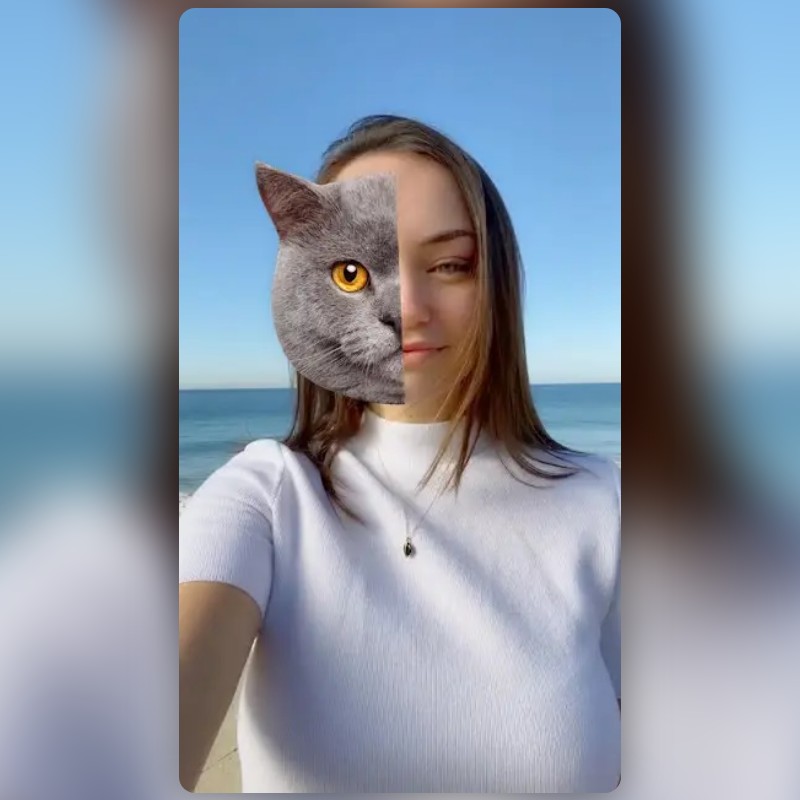 Spirit Animal Lens by Snapchat Snapchat Lenses and Filters