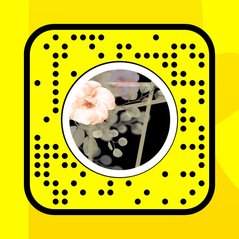 SA - Z Lens by jassimmo7d - Snapchat Lenses and Filters