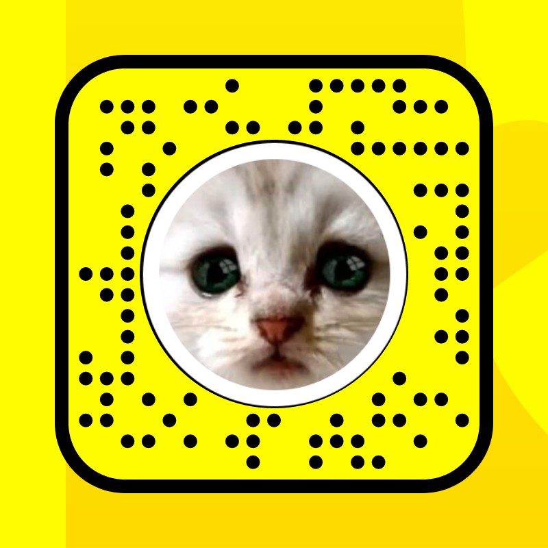 Lawyer Cat Lens by Gabby Paolucci Snapchat Lenses and Filters