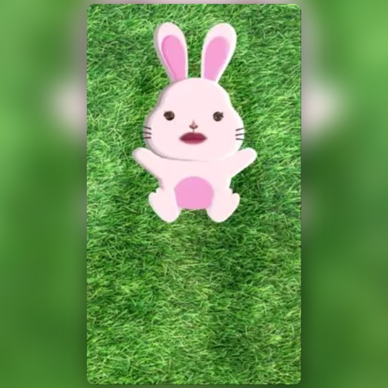 Rabbit Cute Lens by binsarhuang - Snapchat Lenses and Filters