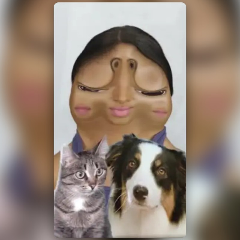 Buggy Lens by Leah ️‍🩹 Snapchat Lenses and Filters