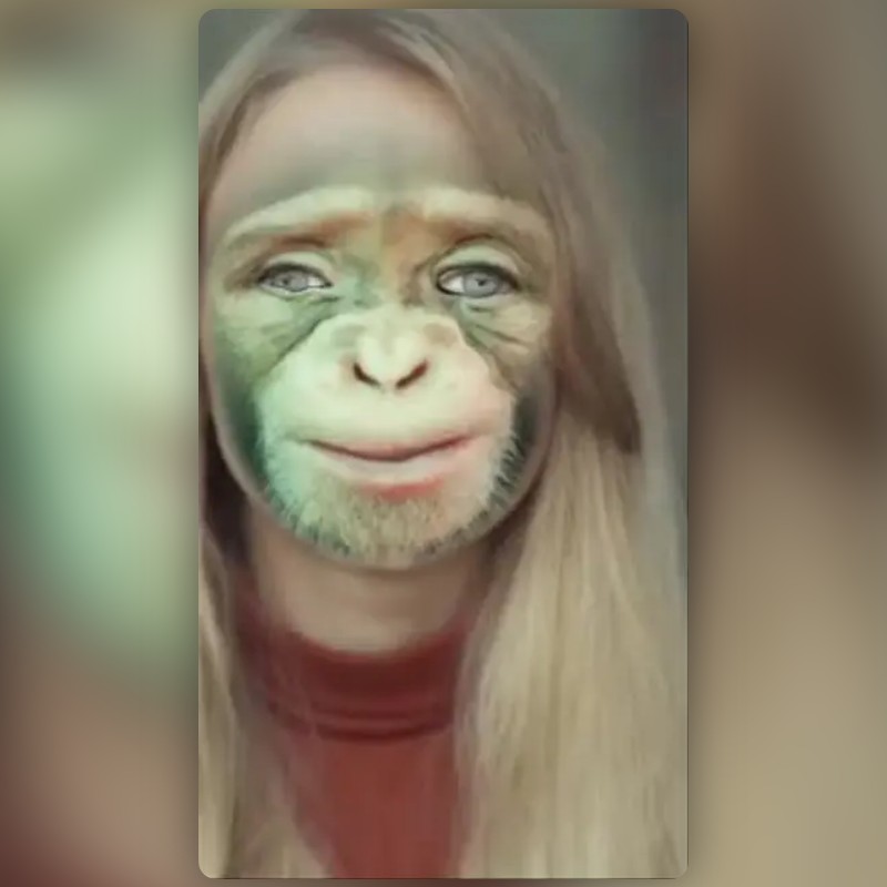 Monkey Face Lens by sudin_naik - Snapchat Lenses and Filters