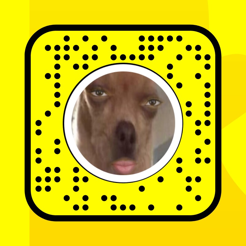 Dog Filter by Lucas Snapchat Lenses