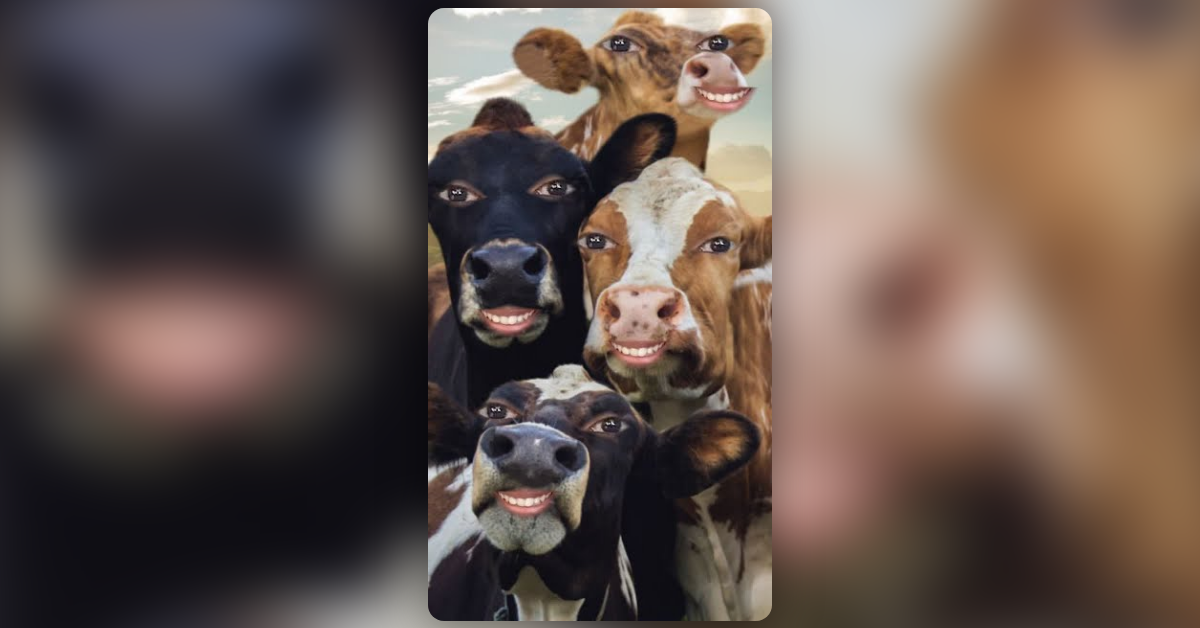 Funny Cows Lens by Snapchat