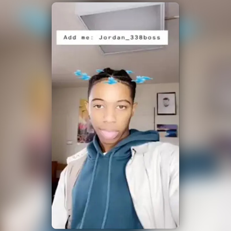 macbook birds Lens by Jordan Snapchat Lenses and Filters