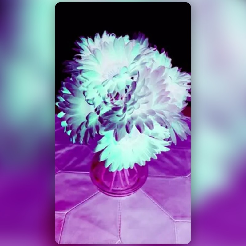 Inverted Feel Lens by Klemen Ketiš - Snapchat Lenses and Filters