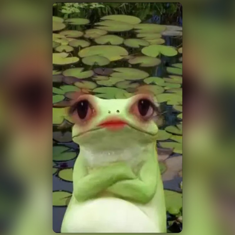 Judging Frog Filter by Fran Capin | Snapchat Lenses