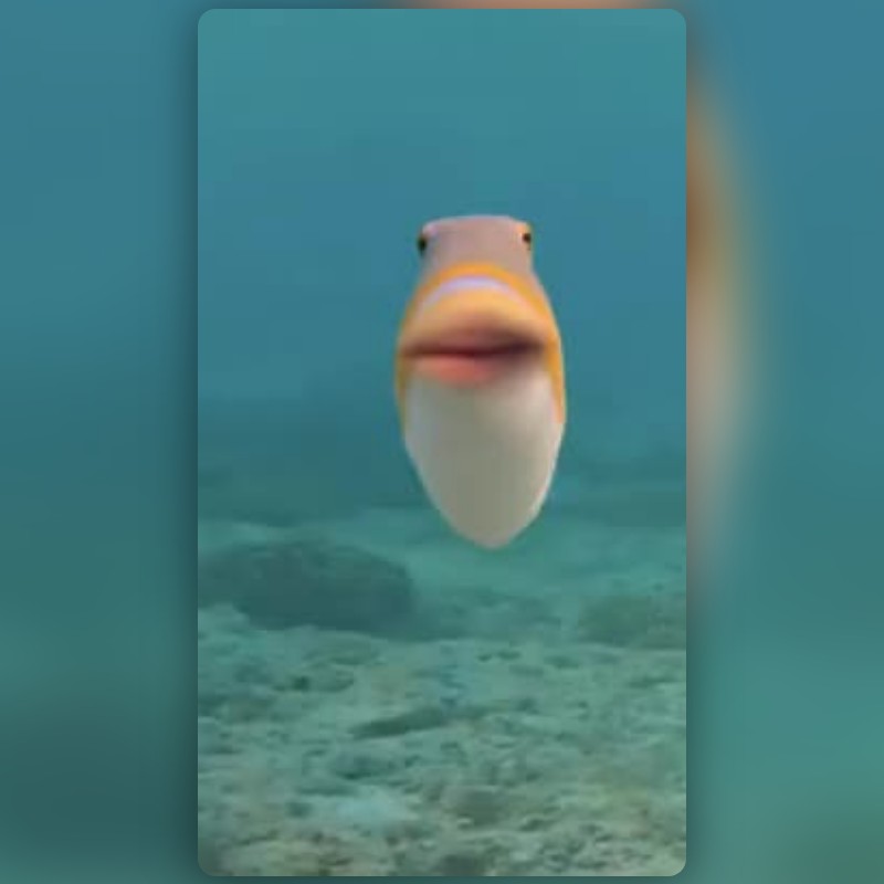 funny fish Lens by Chaz - Snapchat Lenses and Filters