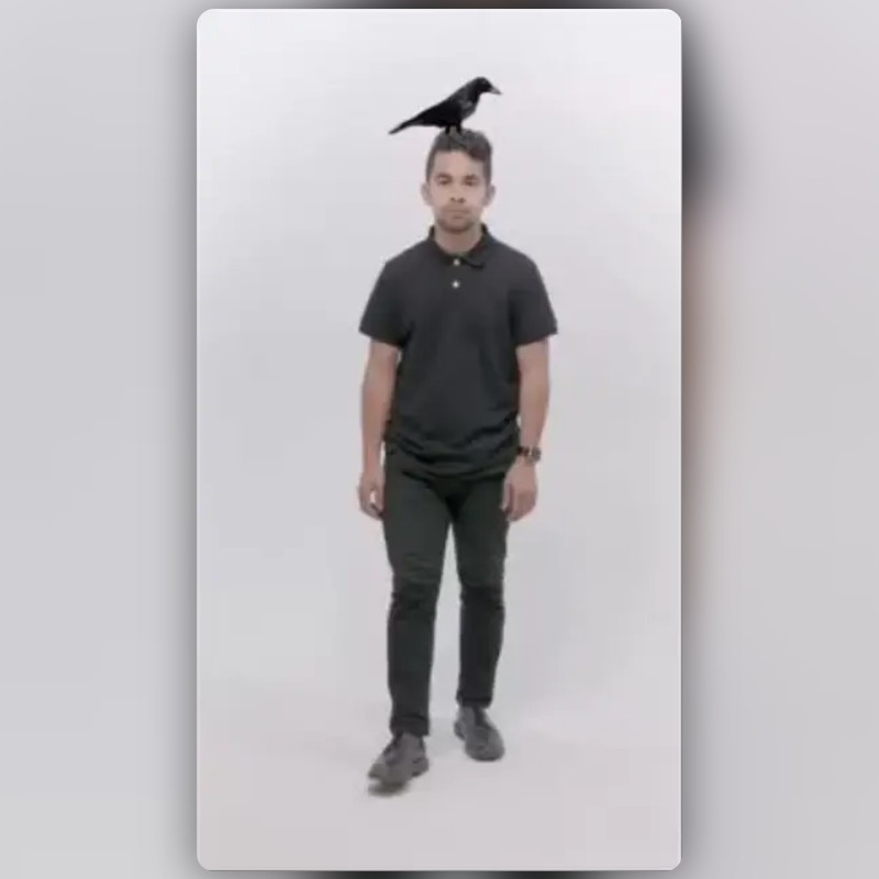Crow Bird on Head Lens by Ethan Snapchat Lenses and Filters