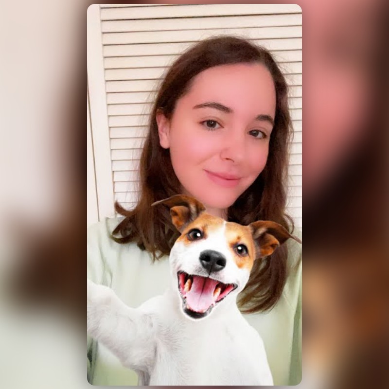 Cat & Dog Selfie Lens By Snapchat - Snapchat Lenses And Filters