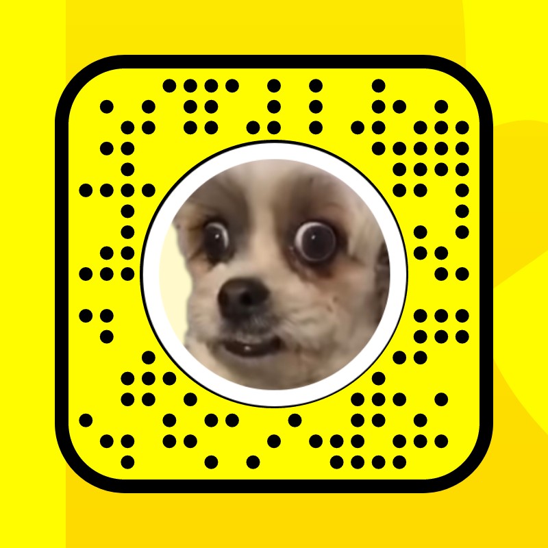 Surprised Dog Lens by Jerry - Snapchat Lenses and Filters