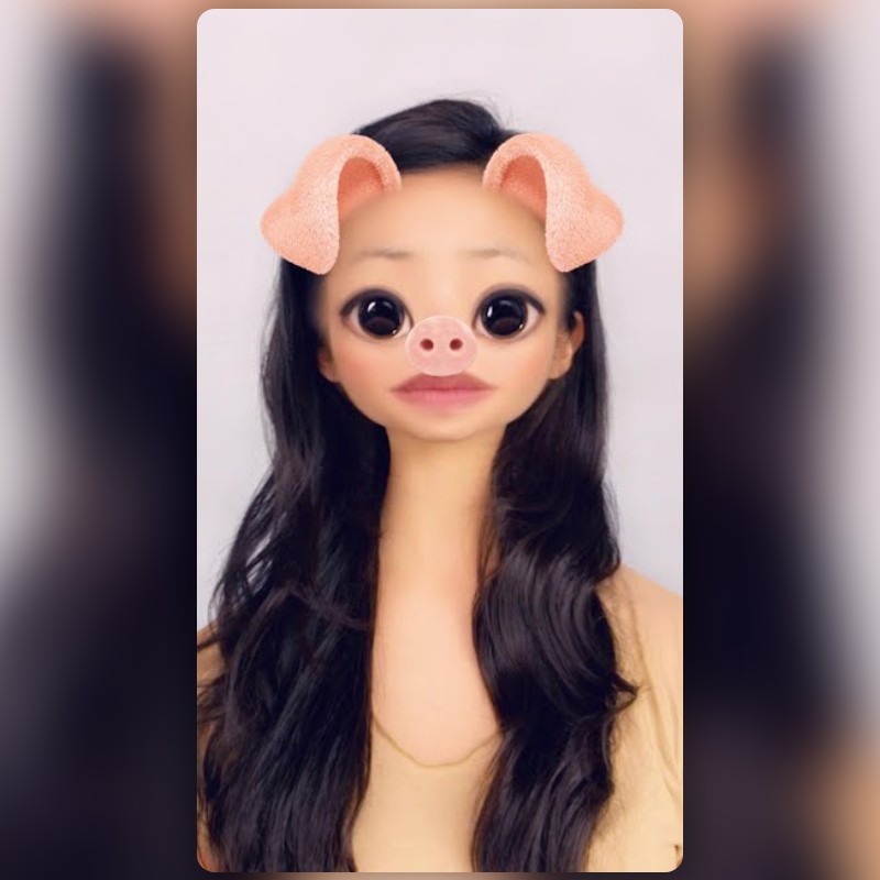 pork  Search Snapchat Creators, Filters and Lenses