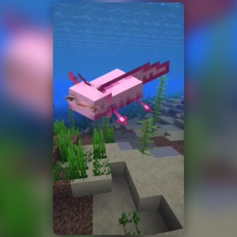 Minecraft Axolotl Lens by EdwiN - Snapchat Lenses and Filters