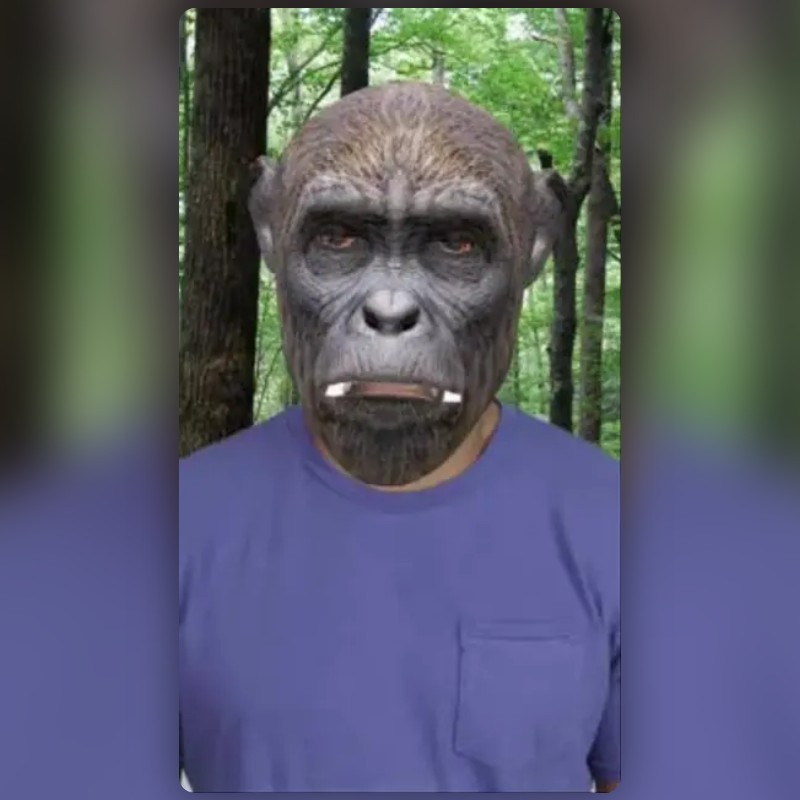Monkey Lens by 👻s0w_night👁️🌗 - Snapchat Lenses and Filters