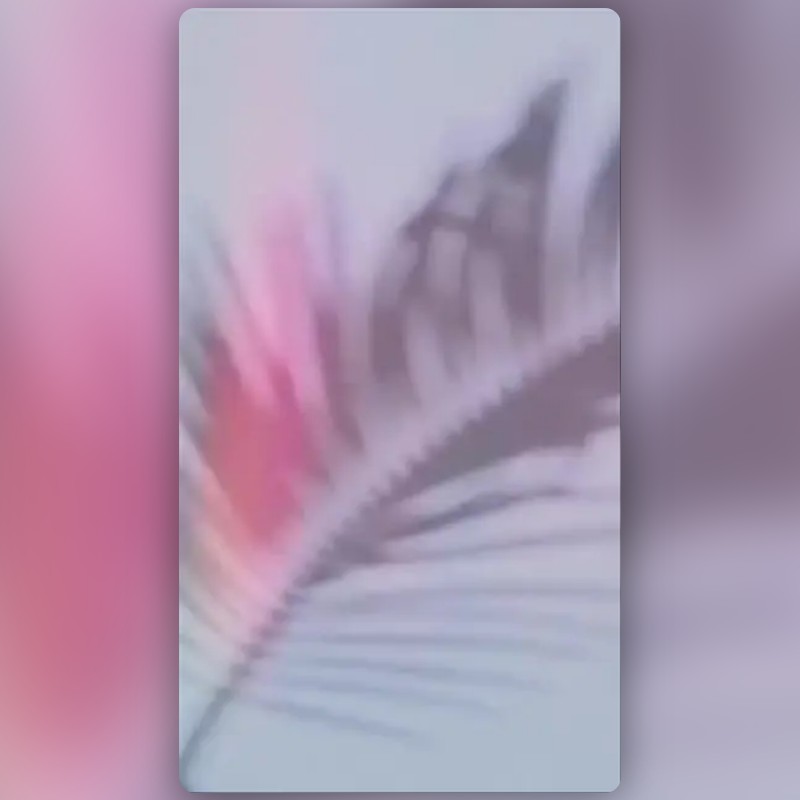 Rainbow Leaks Filter by Desi Website | Snapchat Lenses