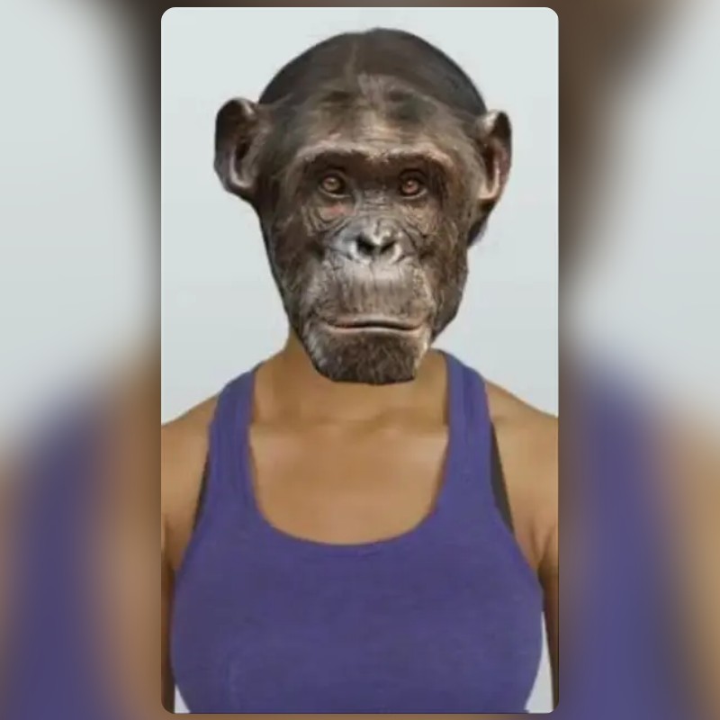 Monkey Face Lens by Rania - Snapchat Lenses and Filters