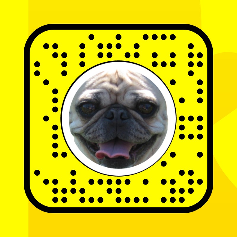 You are a dog Filter by Snapchat Snapchat Lenses