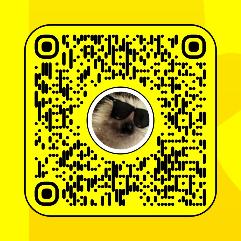 Snapchat Edger cool hedgehog Filter by Snapchat | Snapchat Lenses