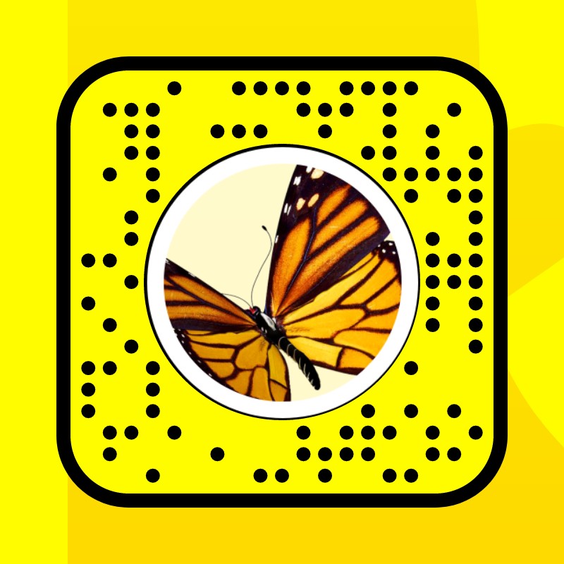 butterfly vhs Lens by joyce hanna Snapchat Lenses and Filters