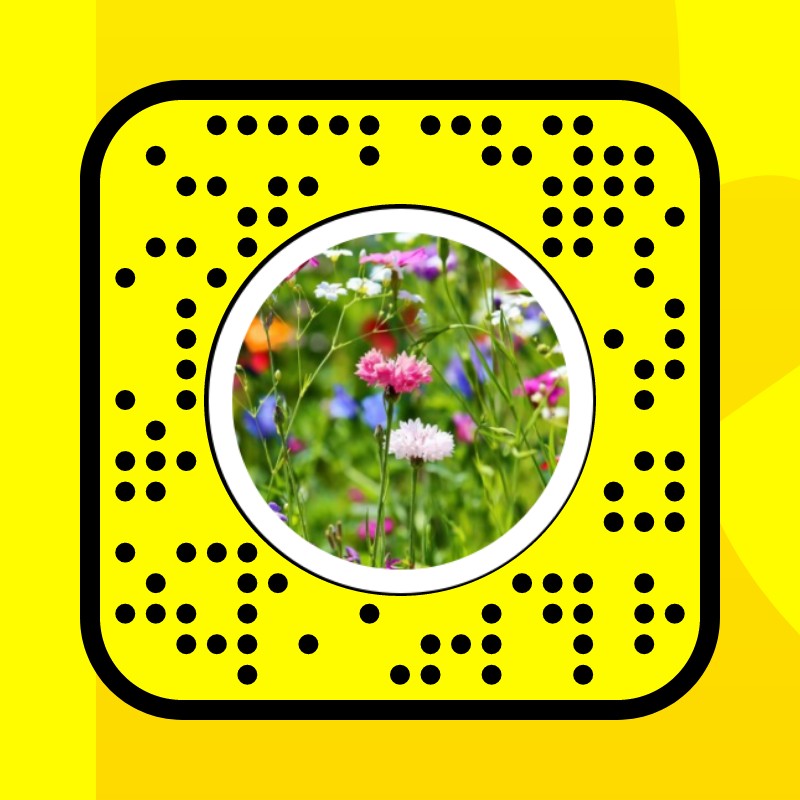 Blumen Lens by Milena Einhorn - Snapchat Lenses and Filters