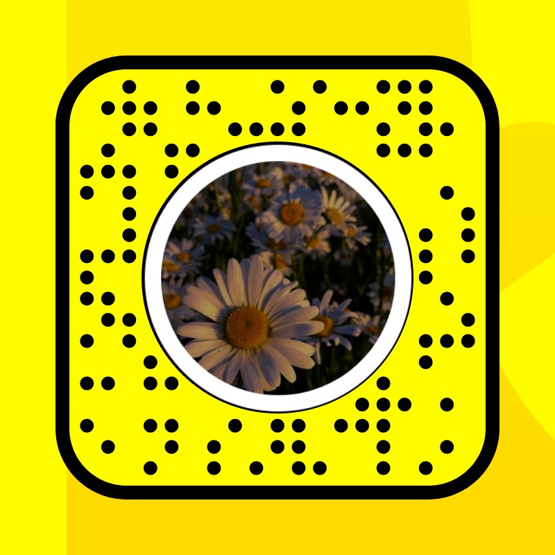 Dark Lens by Memes 🤡🔥 - Snapchat Lenses and Filters