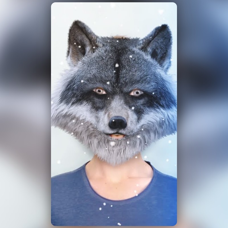 Wolf Lens by Snapchat - Snapchat Lenses and Filters