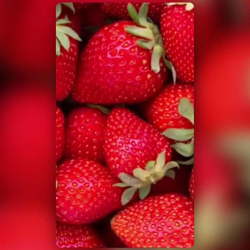 Strawberries Lens by ralph Snapchat Lenses and Filters
