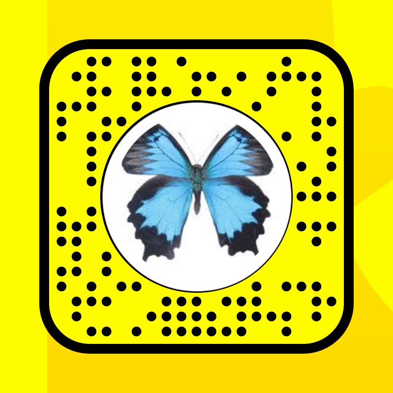 butterfly Lens by Lillian Snapchat Lenses and Filters