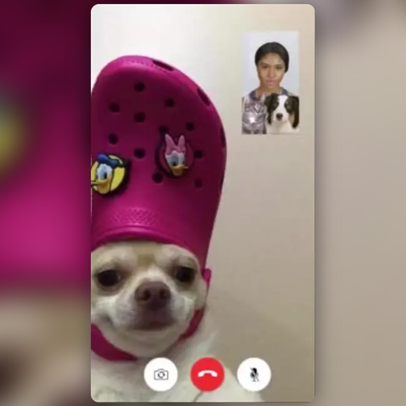Facetime elite dog Lens by Vanoloppe E🛸 Snapchat Lenses and Filters