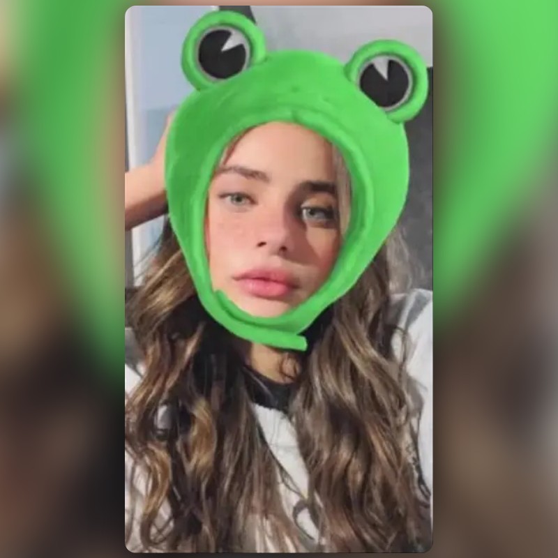 frog hat Lens by zanna Snapchat Lenses and Filters