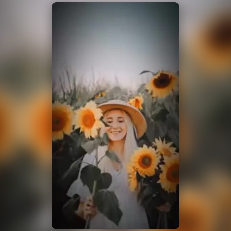 Sunny Days Lens by Add👉🏻Karn _ Matharoo Snapchat Lenses and Filters