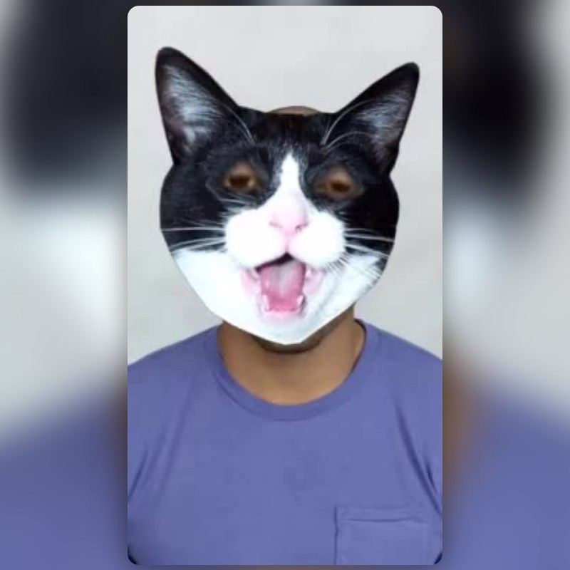 Face In Meme Cat Lens by Syur.24 - Snapchat Lenses and Filters