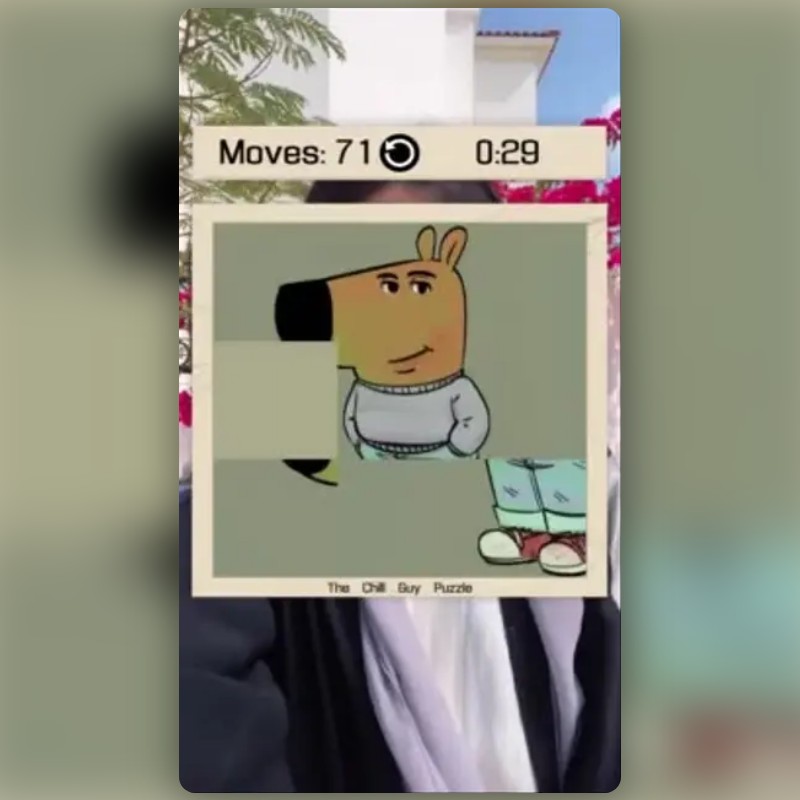 Chill Guy Puzzle Filter by VISYN | Snapchat Lenses