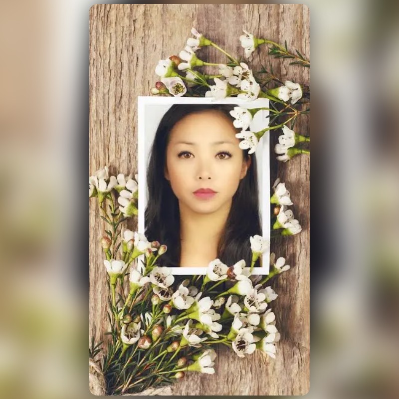 Photo on Bark Lens by Snapchat Snapchat Lenses and Filters