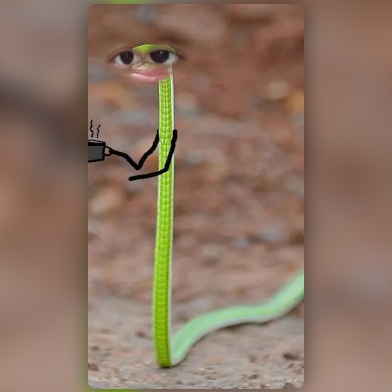 chillin snake Lens by Alysha A Snapchat Lenses and Filters