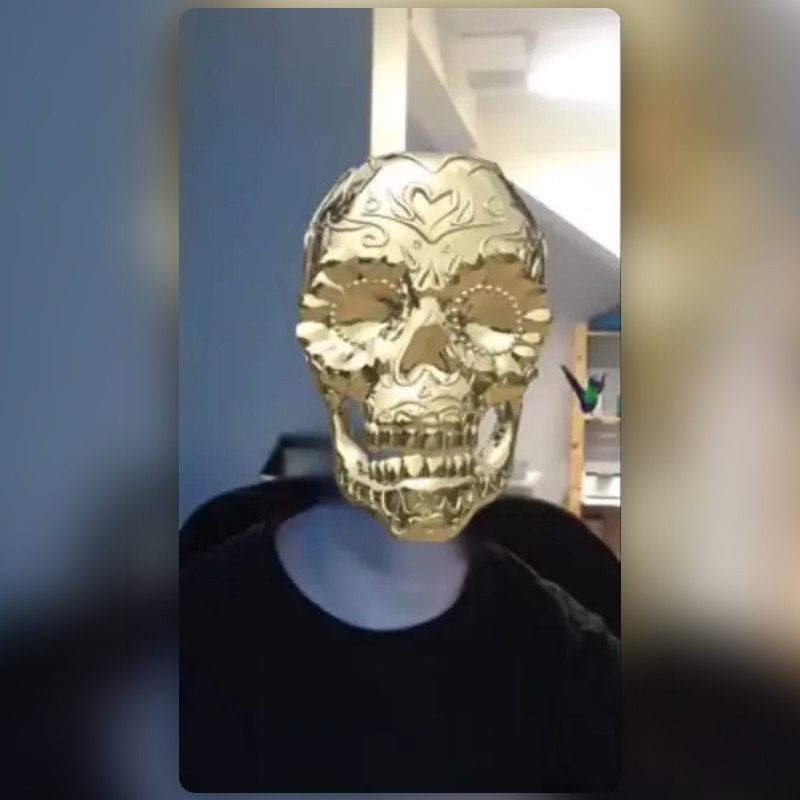 Golden Skull Lens by Lens That Snapchat Lenses and Filters