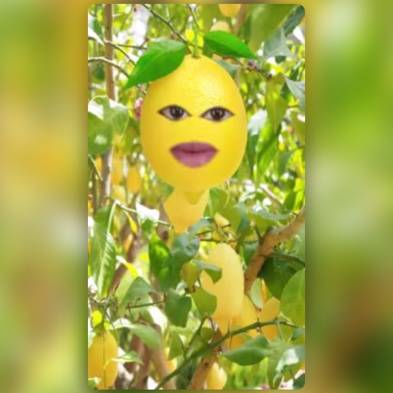 Lemon Tree Lens by Sahda Ardelia - Snapchat Lenses and Filters