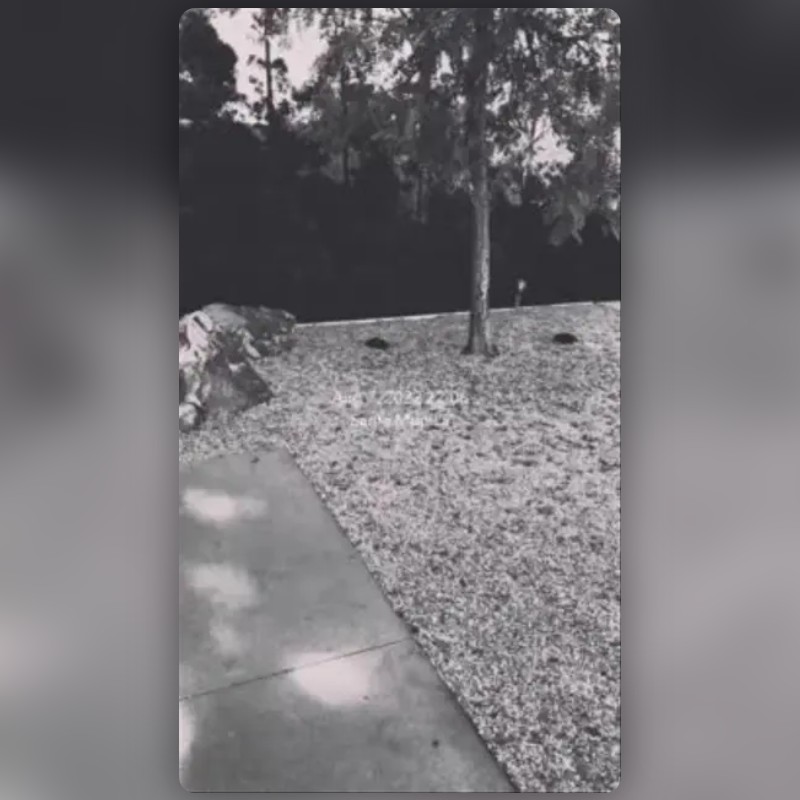 BW TIME DATE Lens by Sona Snapchat Lenses and Filters