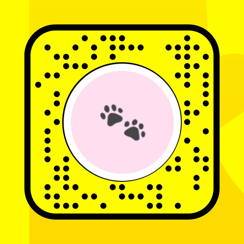 pink pet filter Lens by melanie schoers Snapchat Lenses and Filters
