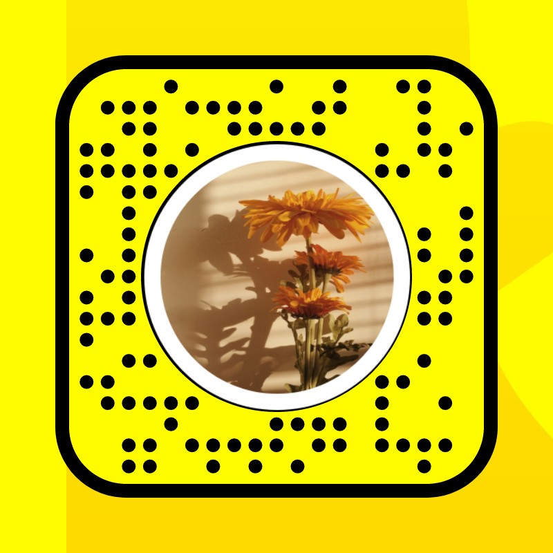 Warm Daisy Lens by catie chardo - Snapchat Lenses and Filters