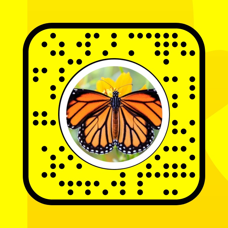 Butterfly Lens by sh_mzere Snapchat Lenses and Filters