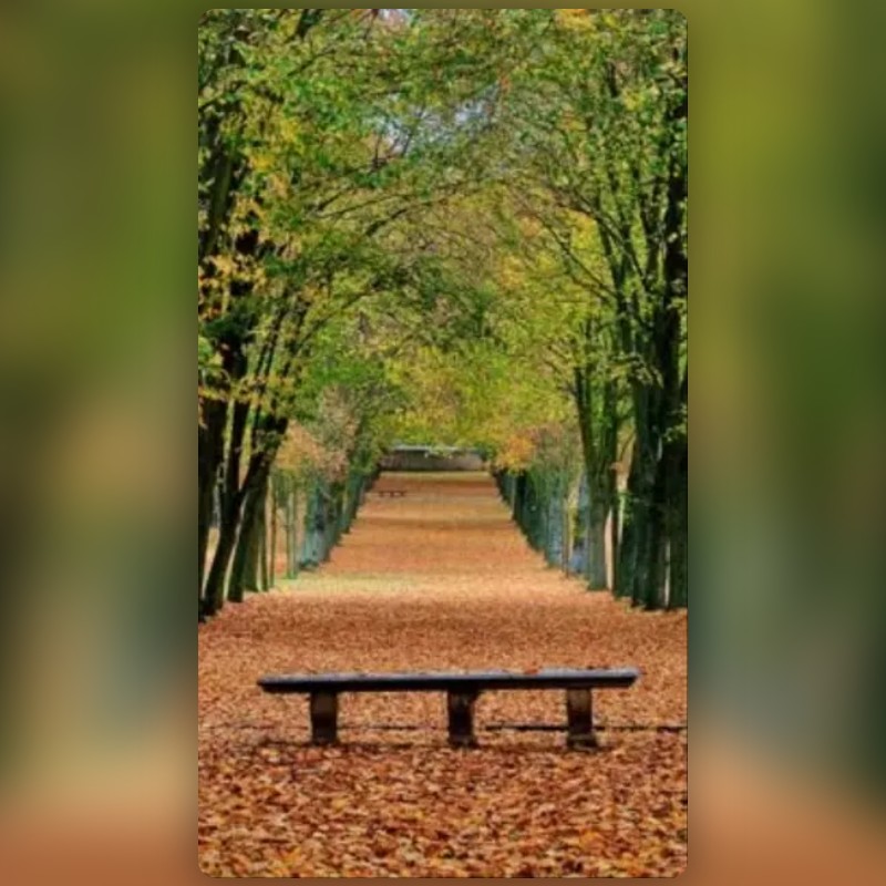 Park bench Fall Filter by Etienne Leygue | Snapchat Lenses
